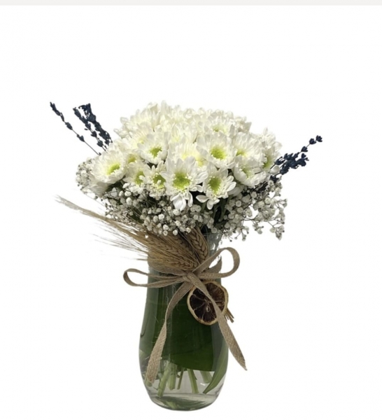 Harbinger Of Spring White Daisies İn Vase